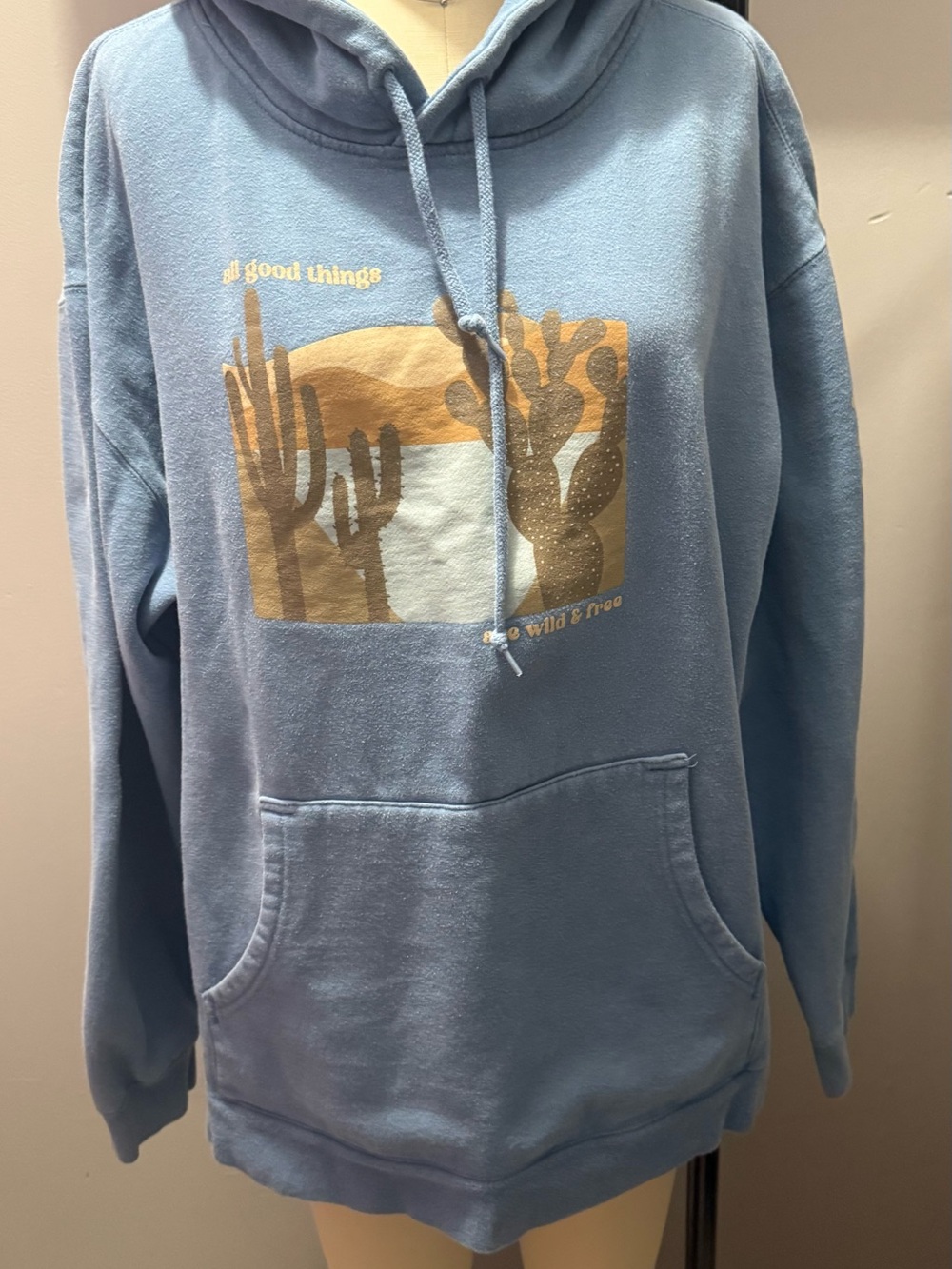 Blue Graphic Hoodie Sweatshirt - All Good Things Desert Print - Picture 2 of 9